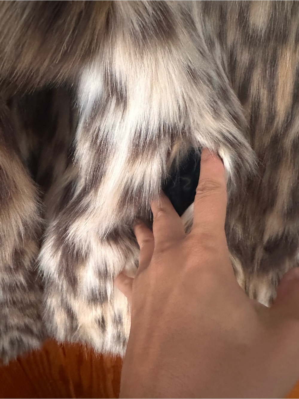 NWT Jason Wu Leopard-Print faux fur &faux leather jacket - Picture 9 of 13